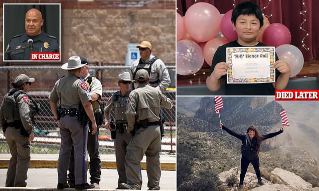 www-dailymail-co-uk.cdn.ampproject.org