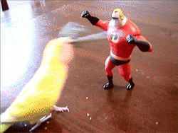 tumblr_lz3a1n8U3x1qk4ocso4_250.gif