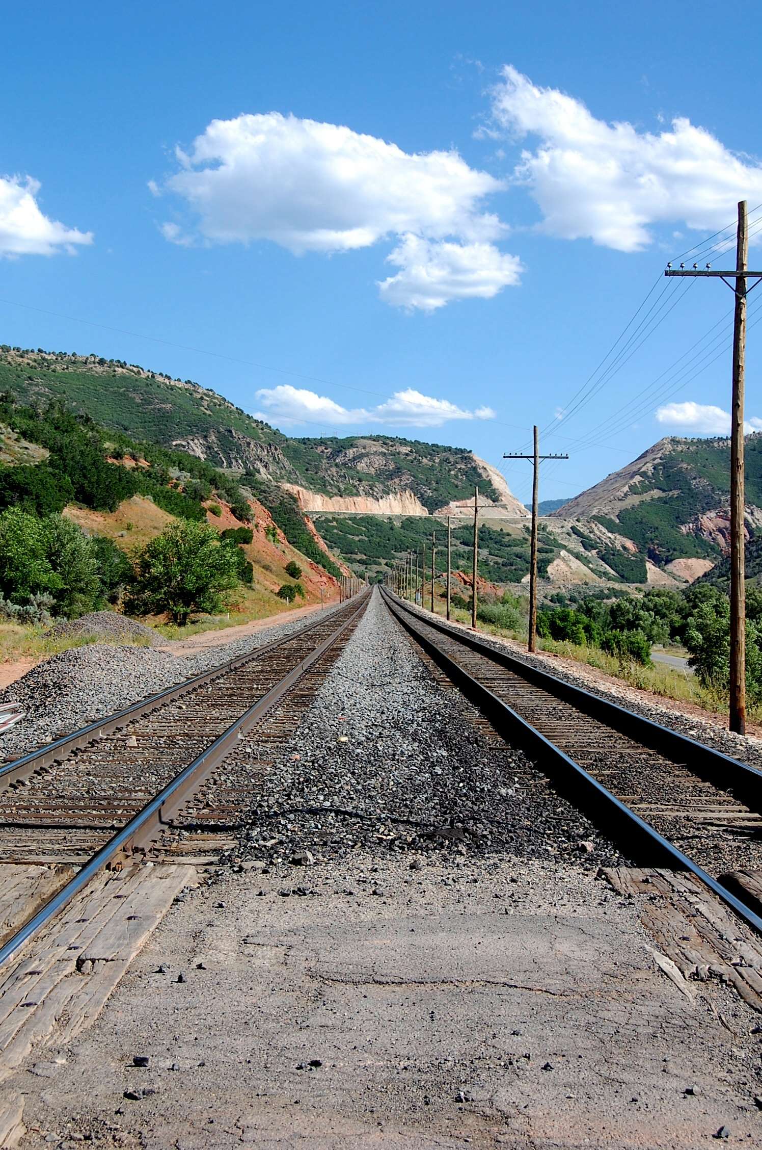 sfcanyontracks7.jpg