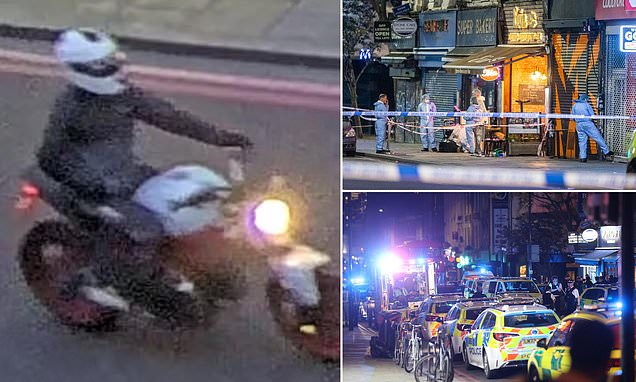 www.dailymail.co.uk