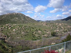 4395716131_6c33183152_m.jpg