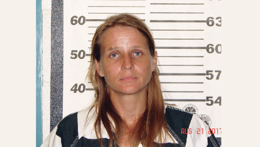 www.ozarkcountytimes.com