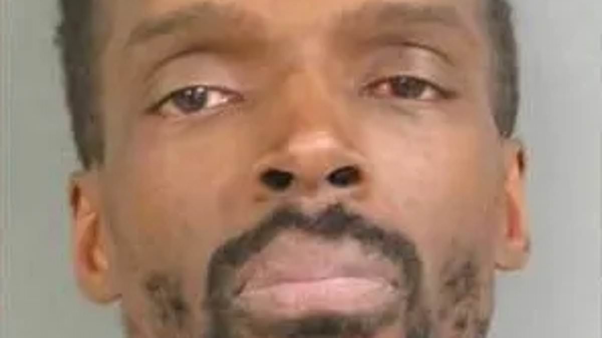 www-dailymail-co-uk.cdn.ampproject.org