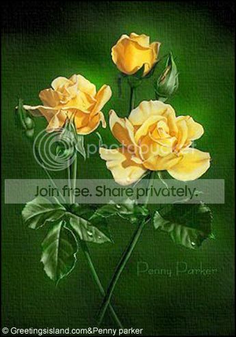 yellow-roses.jpg