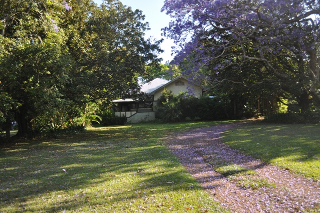 universalmedicinecult.wordpress.com