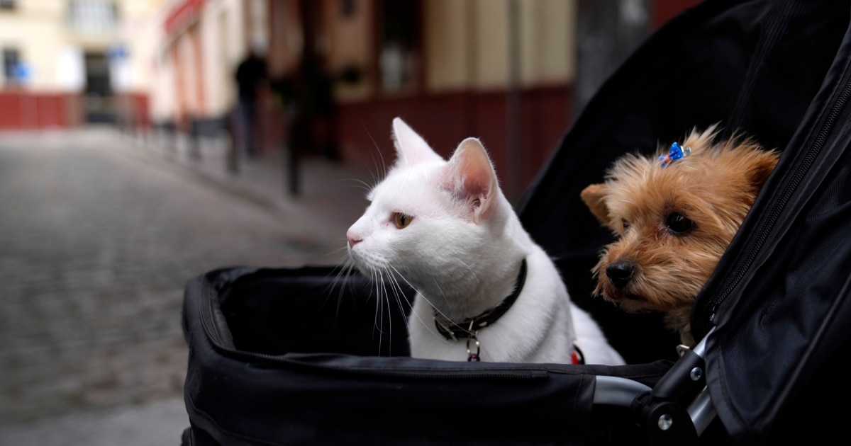 learningenglish.voanews.com