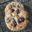 www.cookiemadness.net