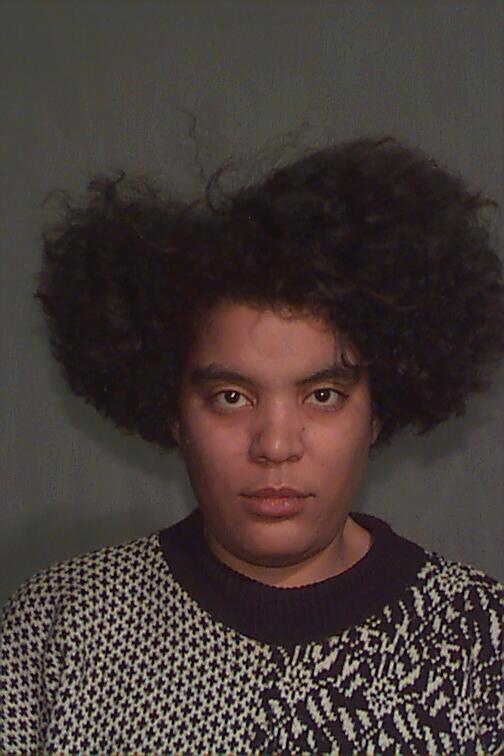 cookcountysheriffil.gov