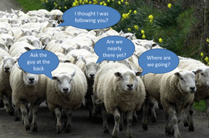 sheep-following.gif