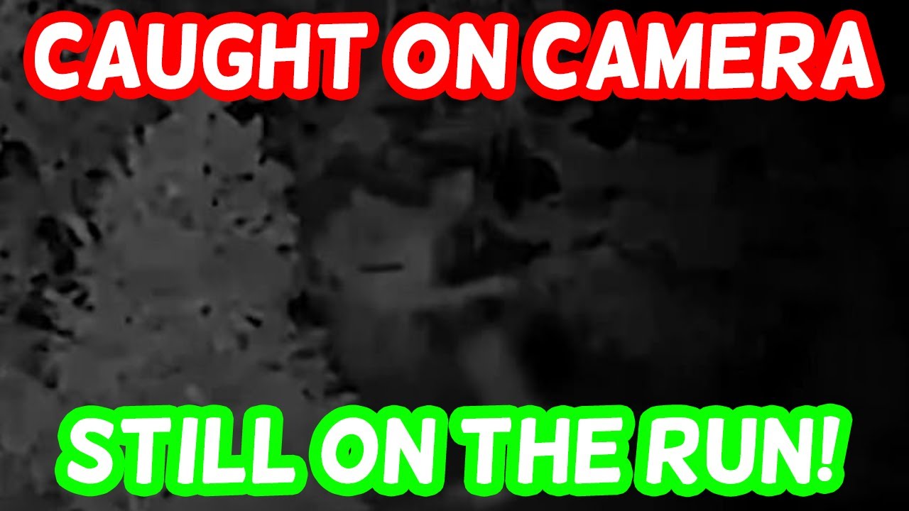 www.youtube.com