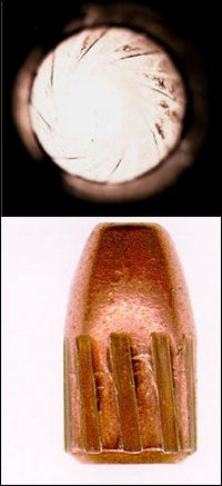 www.scientificamerican.com