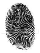fingerprint.jpg