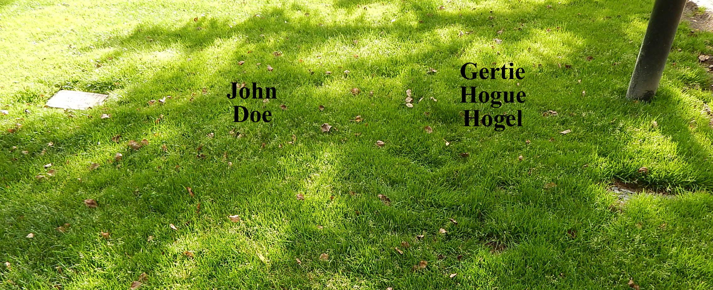 www.findagrave.com