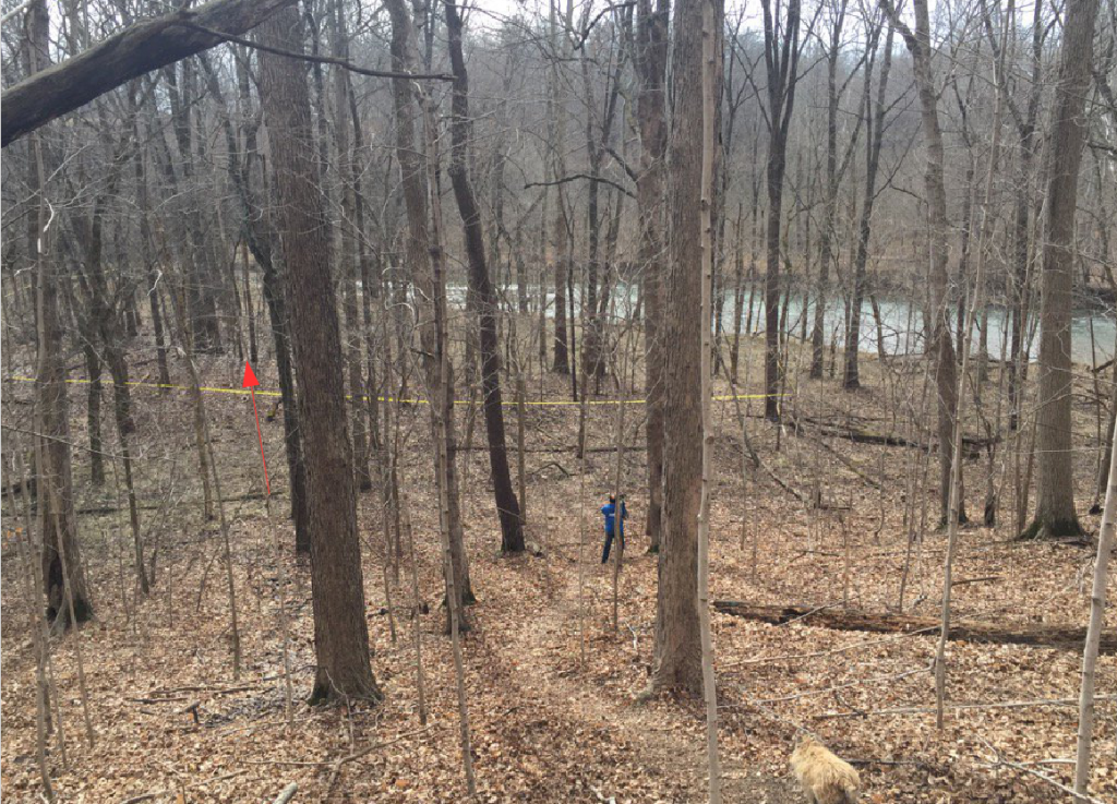 whereithinkbodieswere-png.189703