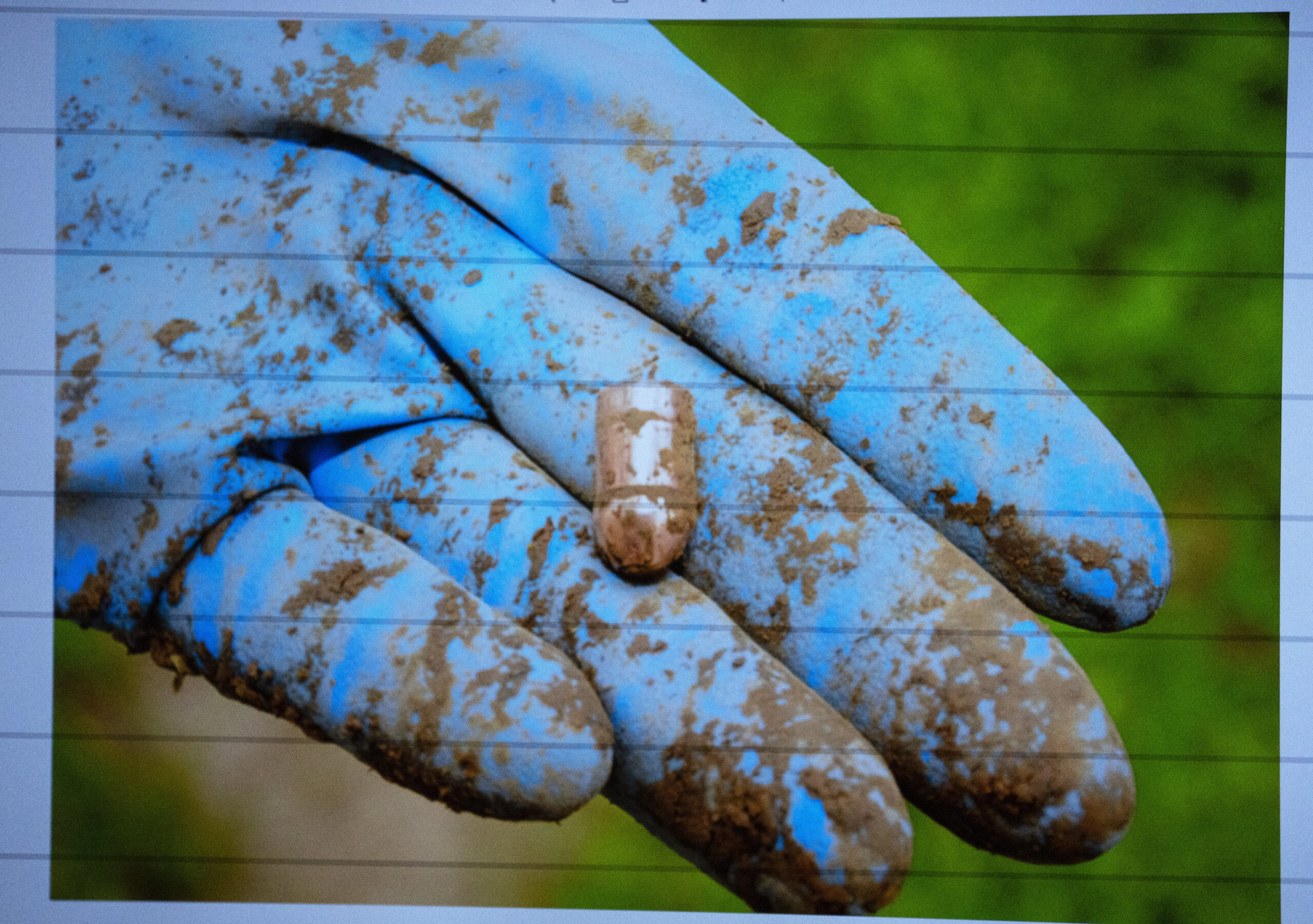 sciotovalleyguardian.com