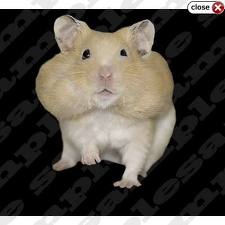 cheeks.jpg