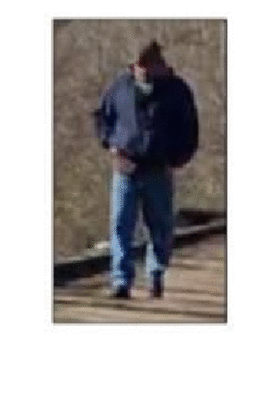 bg_walk_3frames-gif.116223