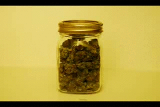 weed disappearing from a mason jar - Imgflip