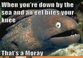 53e.png