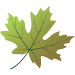 www.geaugamapleleaf.com