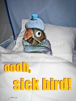 sickbird.jpg