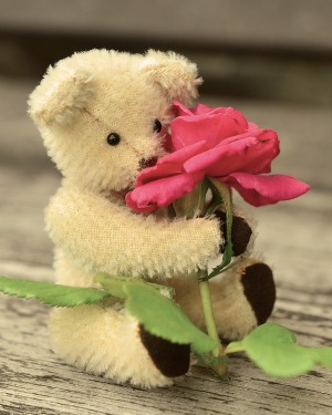 teddy-8898921920.jpg