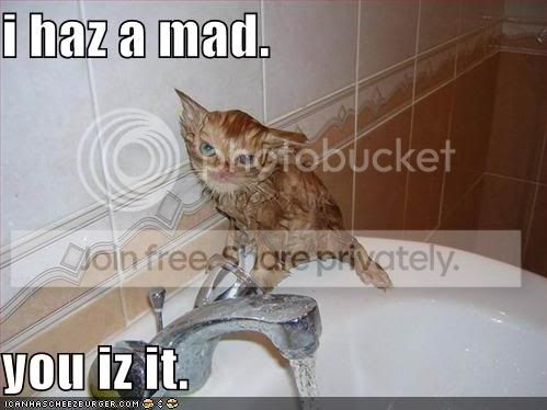 wet-mad-cat-sink.jpg
