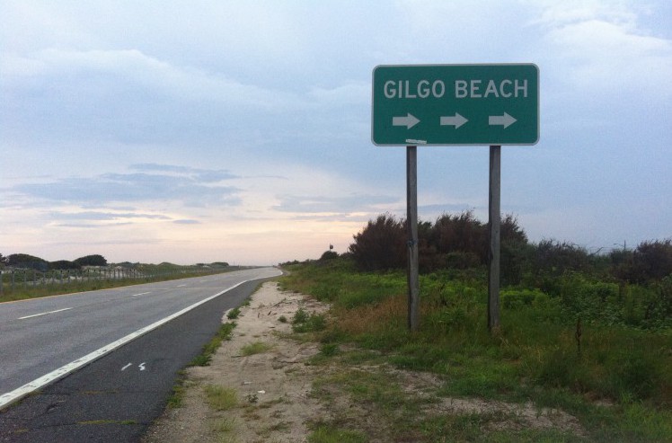 www.longislandpress.com