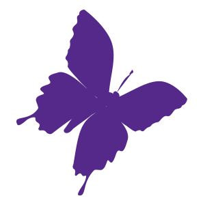 www.bellefairejcb.org
