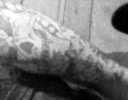 workman_shane_tattoo.jpg