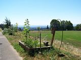th_100_1478.jpg