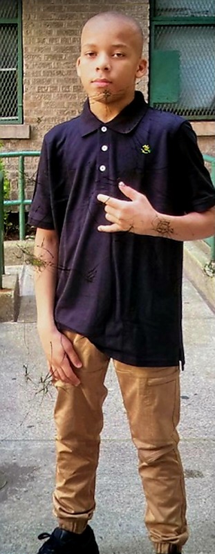 bronx.com
