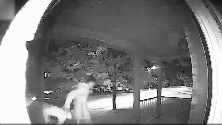 richmond-hill-abduction.jpg