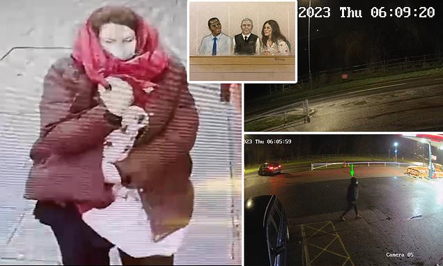 www.dailymail.co.uk