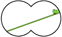 Caterpillar.gif