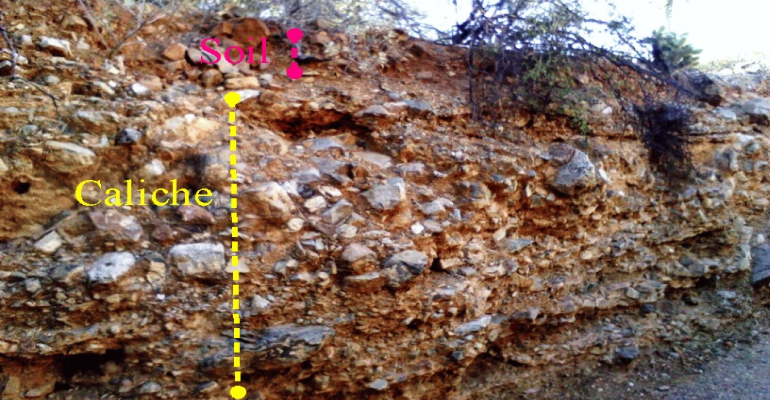 arizonadailyindependent.com