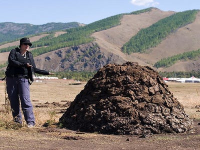 manure-pile-flickr.jpg