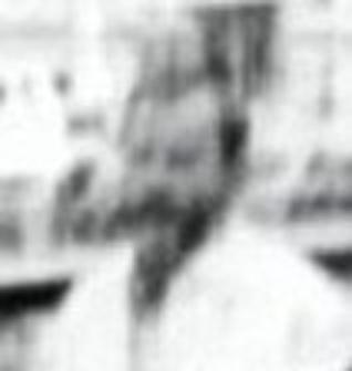 tyleno14.jpg
