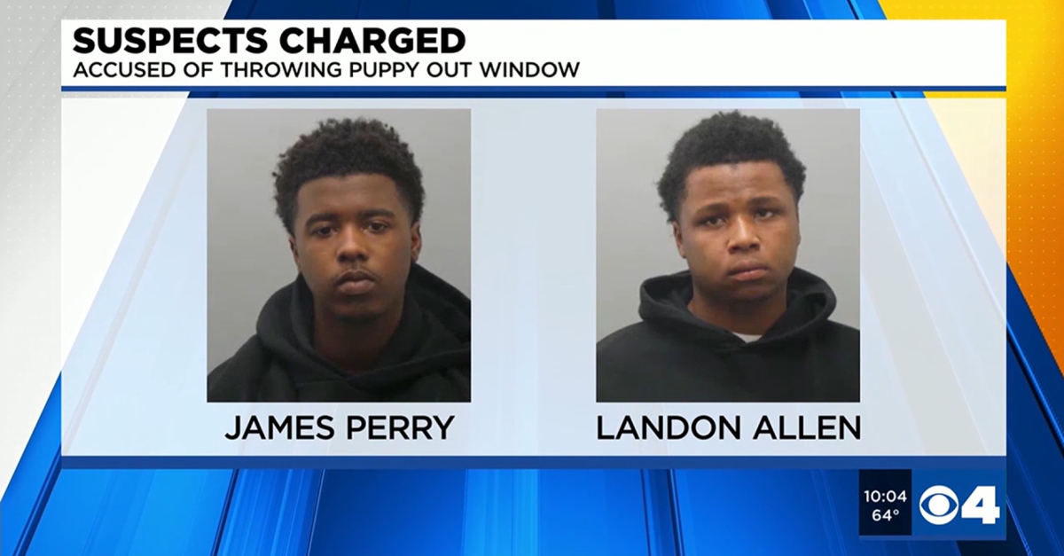 James-Perry-and-Landon-Allen.jpg