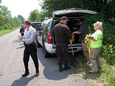 9782806-large.jpg