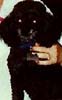 sandra_ann_sollie_10.jpg