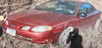 shookman_brian_car.jpg