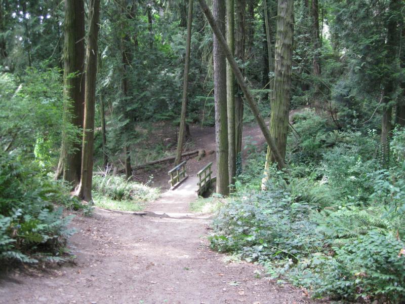 ar128071491927775.JPG