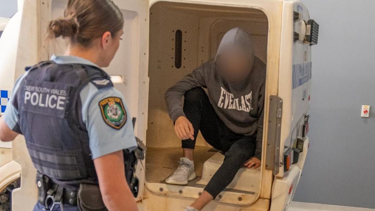 www-dailymail-co-uk.cdn.ampproject.org