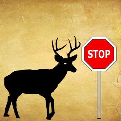 the-buck-stops-here.jpg