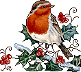 animated-christmas-bird-image-0009.gif