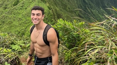 thenationalpulse.com