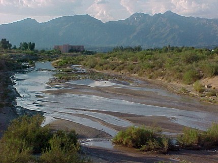 pantano.jpg