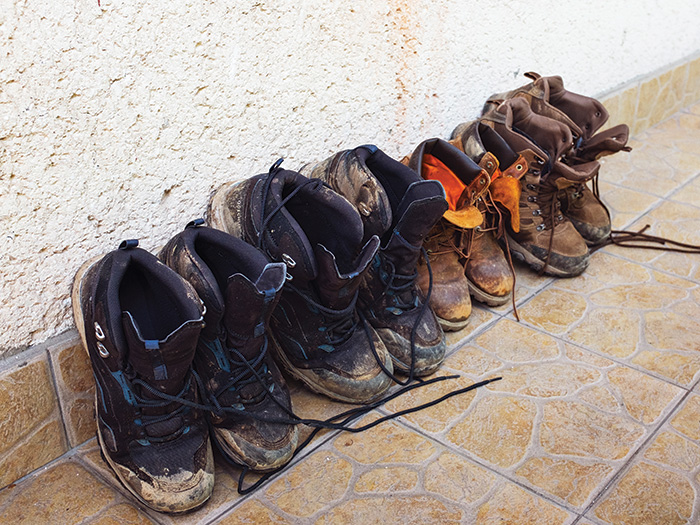 riskandinsurance.com