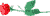 wsrose-gif.136315
